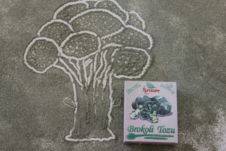 dried broccoli-5